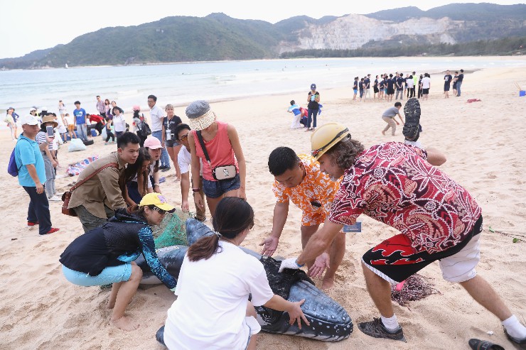 2月23日，志愿者在后海灣南部海灘區域撿拾垃圾-11